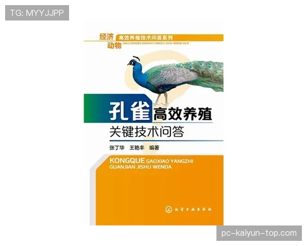 巴西出局原因解析:挪威高效反击成为关键 巴西出局原因解析:挪威高效反击成为关键
